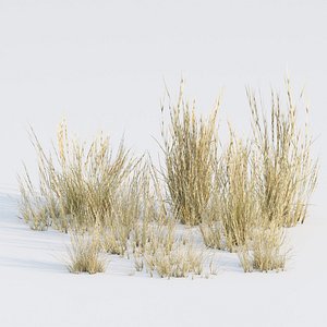 3D Low poly 3d wild dry grass collection vol 278-3dsmax-Blender