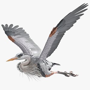 Long Legged Grey Heron Bird Flight Animated Rigged For Blender