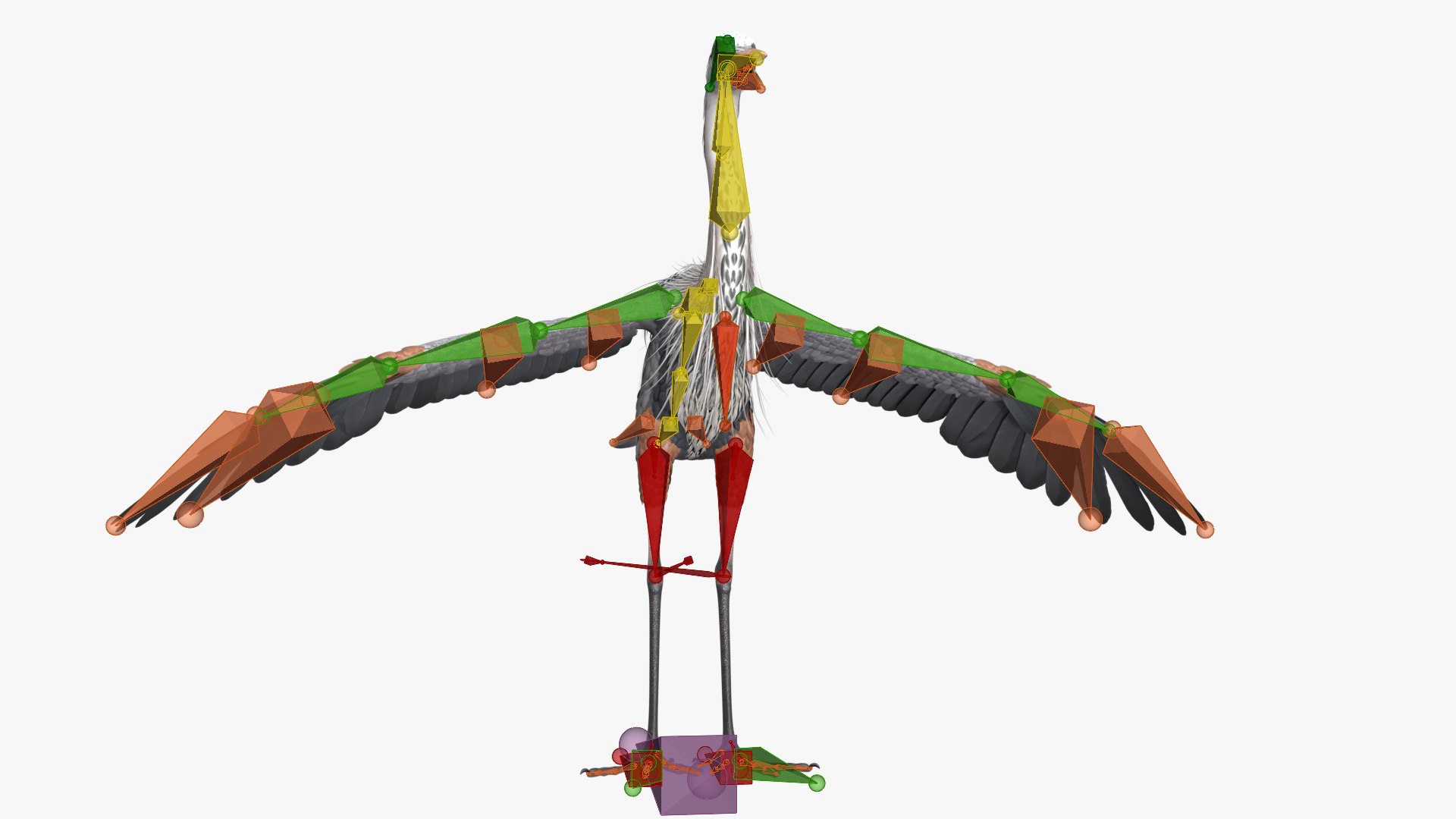 Long Legged Grey Heron Bird Flight Animated Rigged For Blender 3D model https://p.turbosquid.com/ts-thumb/Do/xCpSj9/GO/img_20260330_152458_745/jpg/1774873516/1920x1080/fit_q87/c29683fe9ebe30408b670dc736c36299de98e0e3/img_20260330_152458_745.jpg