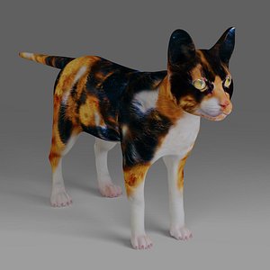 Calico Cat NO Rigged V4 model