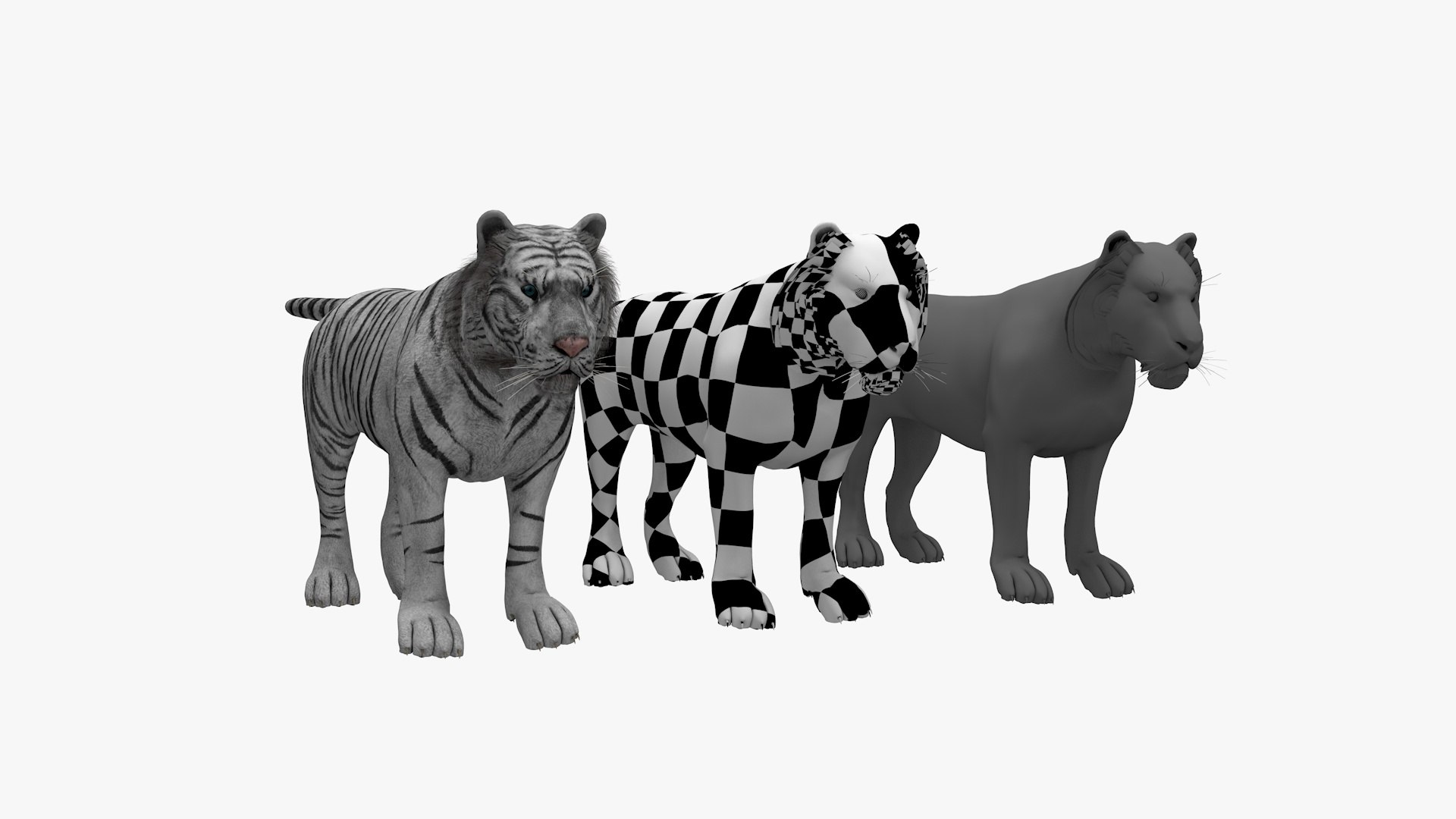 White Tiger 3D Model - TurboSquid 1857359