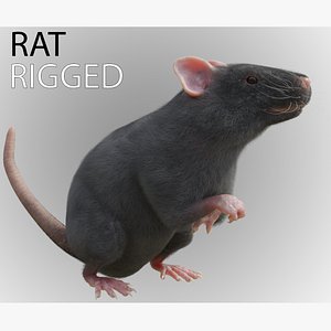 3D RET FOR VFX CGI