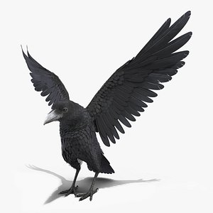 raven landing rigged animate 3D