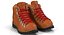 Boots Danner