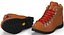 Boots Danner