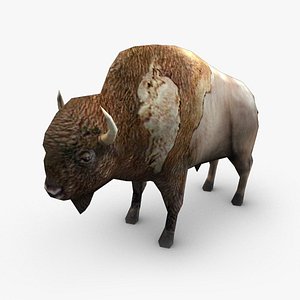 Bison