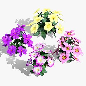 British Primrose 3D Plant Model 3D model