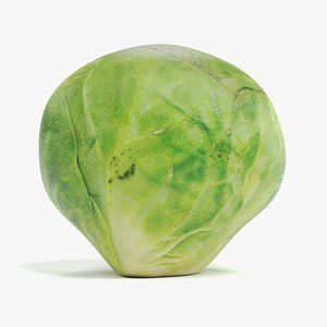 Brussels Sprout