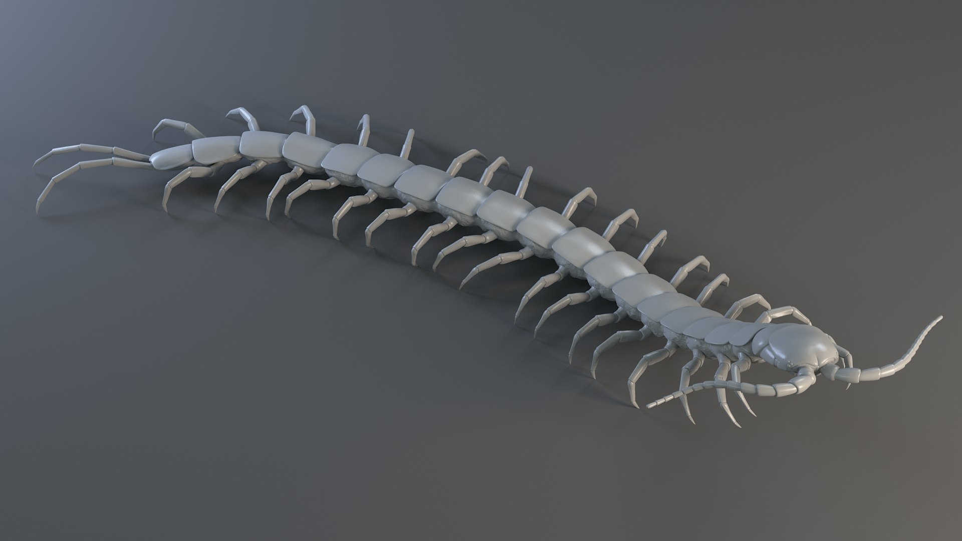 3D Scolopendra Rigged model https://p.turbosquid.com/ts-thumb/Dp/uB9iK8/0c/sclopendra_19/jpg/1737026793/1920x1080/fit_q87/ee0f66d3ac396078ac8c594163ccee7ba51428ea/sclopendra_19.jpg