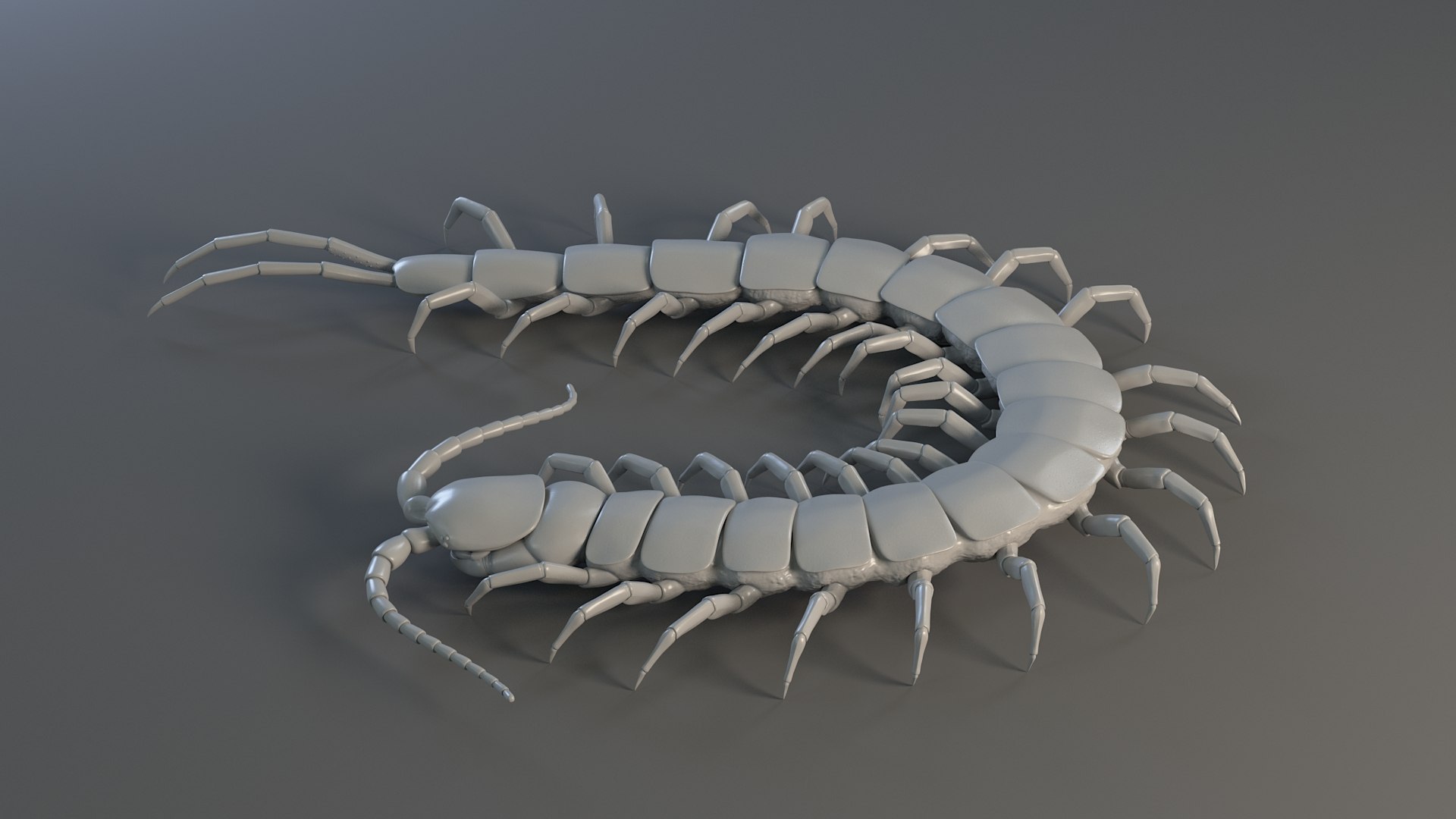 3D Scolopendra Rigged model https://p.turbosquid.com/ts-thumb/Dp/uB9iK8/3X/sclopendra_18/jpg/1737026792/1920x1080/fit_q87/ebcf3c1a02b49018755ce98b600056451e90ac10/sclopendra_18.jpg