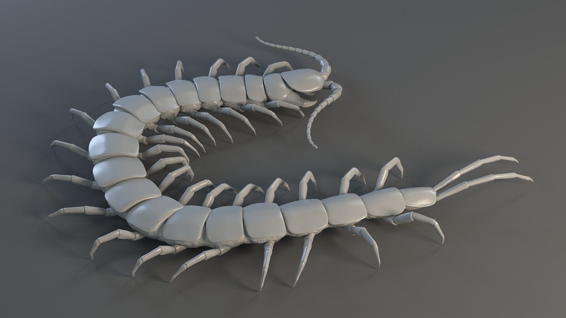 3D Scolopendra Rigged model https://p.turbosquid.com/ts-thumb/Dp/uB9iK8/6h/sclopendra_16/jpg/1737026788/1920x1080/fit_q87/c68e8c5b08aee1379da4a24ad4d00ee0e5647dbb/sclopendra_16.jpg