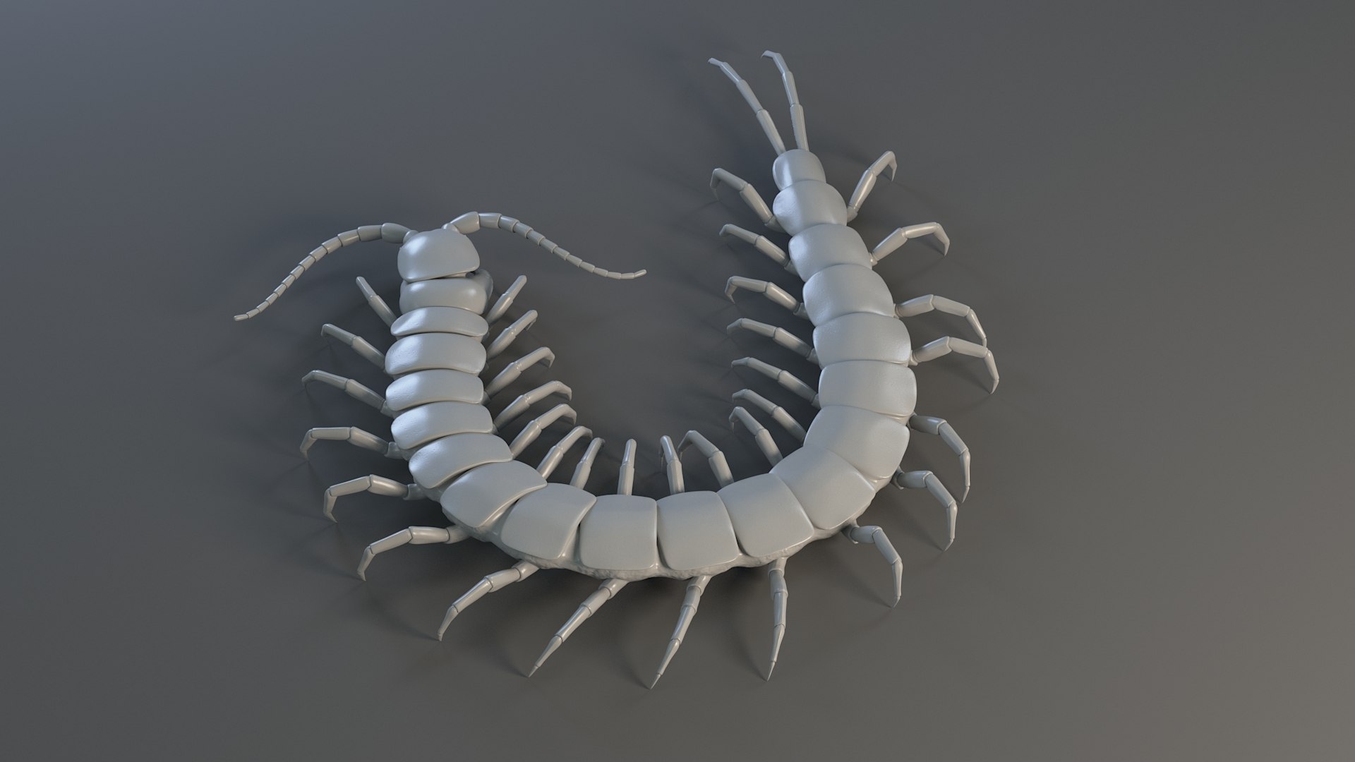 3D Scolopendra Rigged model https://p.turbosquid.com/ts-thumb/Dp/uB9iK8/BL/sclopendra_17/jpg/1737026789/1920x1080/fit_q87/6068be94376006af5a944847c1073bf4c9d900ce/sclopendra_17.jpg