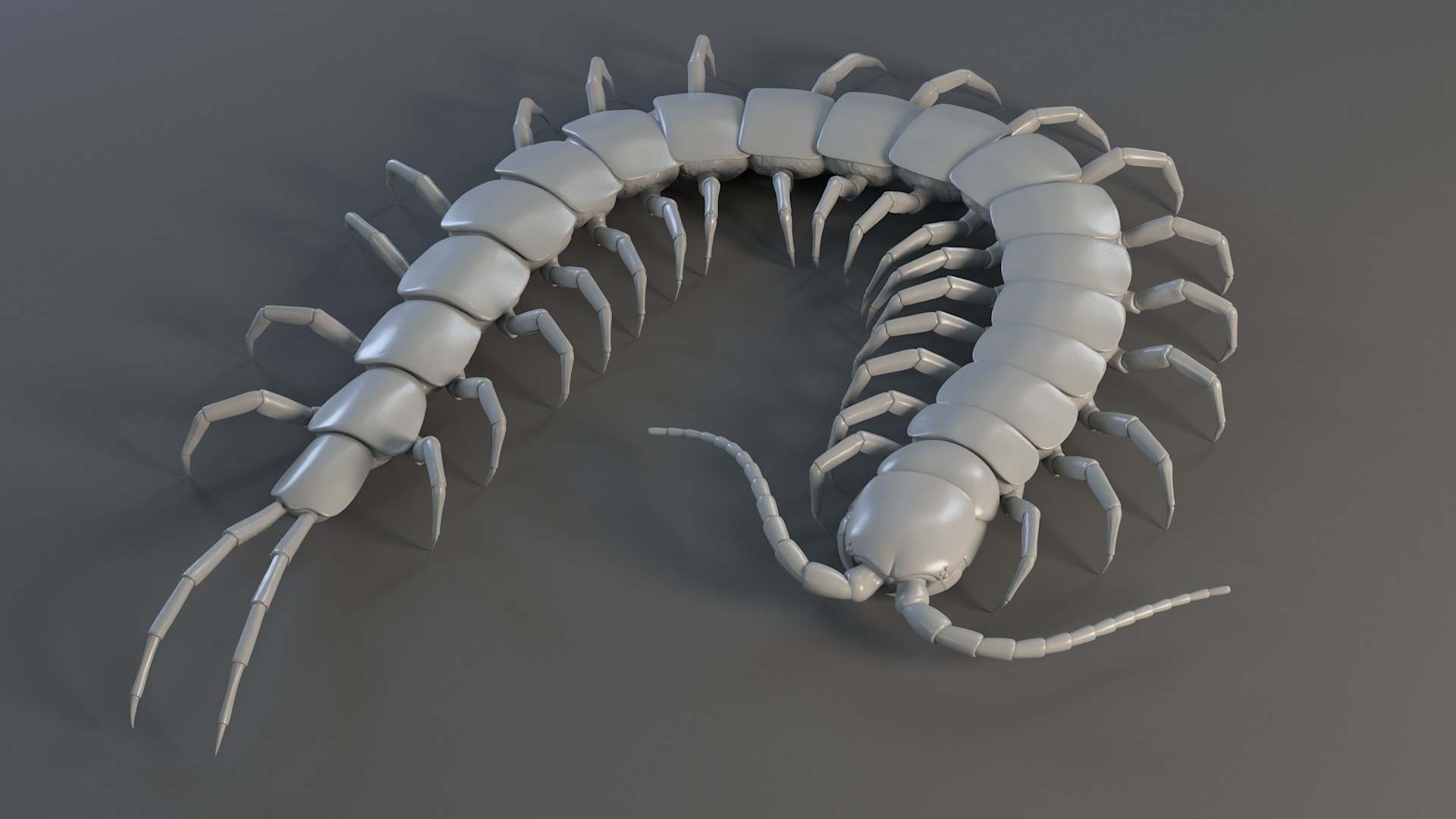 3D Scolopendra Rigged model https://p.turbosquid.com/ts-thumb/Dp/uB9iK8/Bi/sclopendra_13/jpg/1737026784/1920x1080/fit_q87/e598e08b51c0476922e3759fb9f586eae91762aa/sclopendra_13.jpg