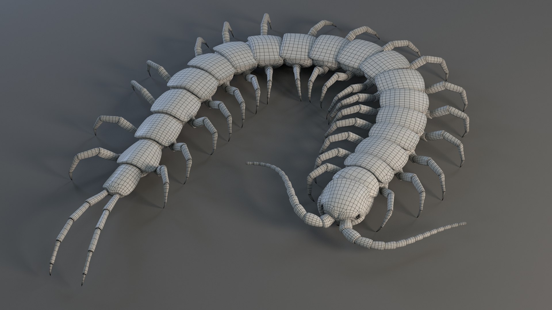 3D Scolopendra Rigged model https://p.turbosquid.com/ts-thumb/Dp/uB9iK8/Dc/sclopendra_24/jpg/1737026800/1920x1080/fit_q87/44ba4b803f258dc782415105fc95a90bdd73189d/sclopendra_24.jpg