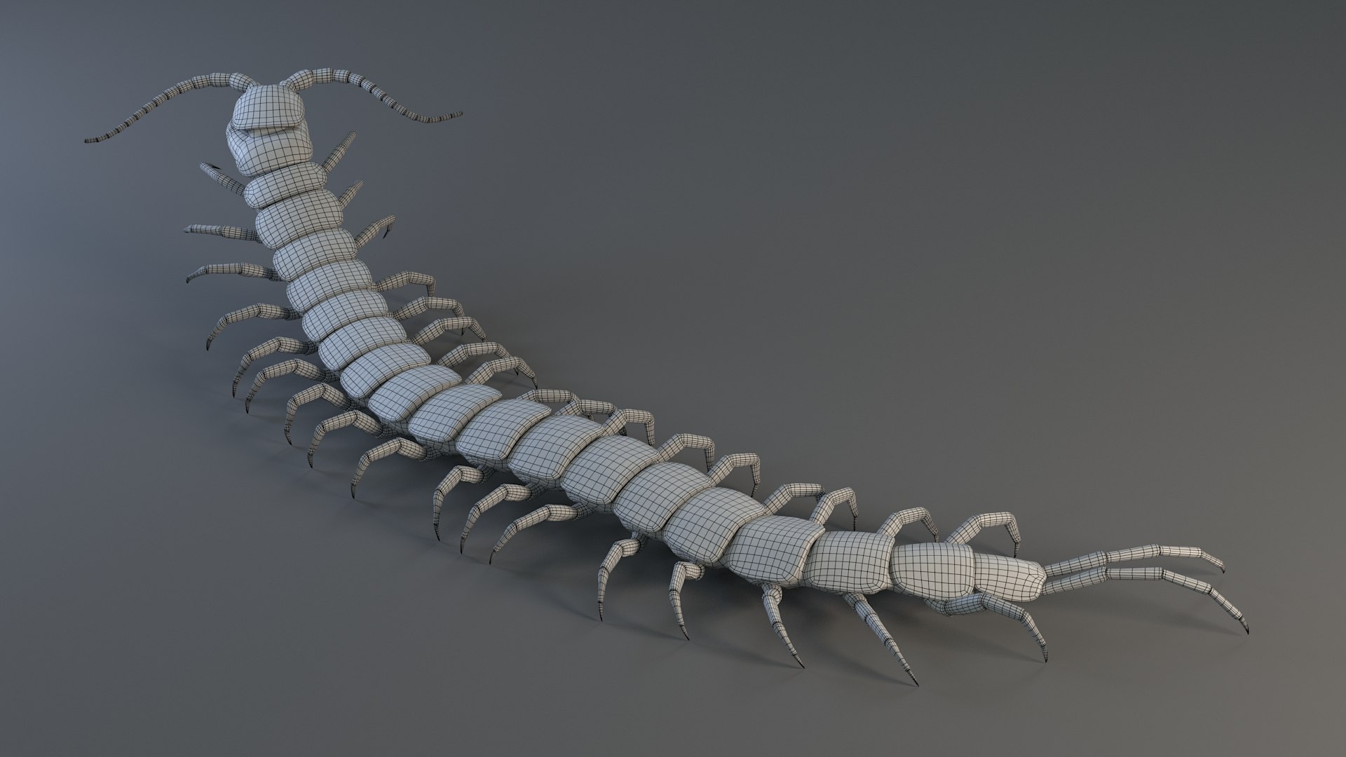 3D Scolopendra Rigged model https://p.turbosquid.com/ts-thumb/Dp/uB9iK8/JO/sclopendra_32/jpg/1737026811/1920x1080/fit_q87/d2ae255940de26a2d288f3717859009bdb143cbd/sclopendra_32.jpg