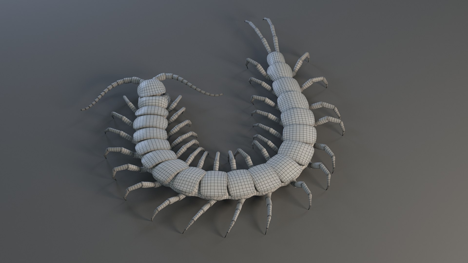 3D Scolopendra Rigged model https://p.turbosquid.com/ts-thumb/Dp/uB9iK8/Me/sclopendra_28/jpg/1737026805/1920x1080/fit_q87/db1fadb3e00c758b70eba158e3f27298420108ea/sclopendra_28.jpg