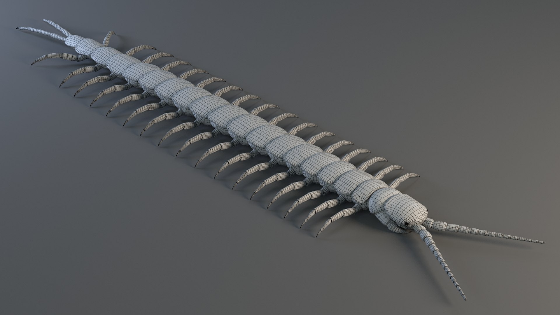 3D Scolopendra Rigged model https://p.turbosquid.com/ts-thumb/Dp/uB9iK8/Pe/sclopendra_33/jpg/1737026813/1920x1080/fit_q87/1ee8887622e19655e2c1df42bd60ec2443258cae/sclopendra_33.jpg