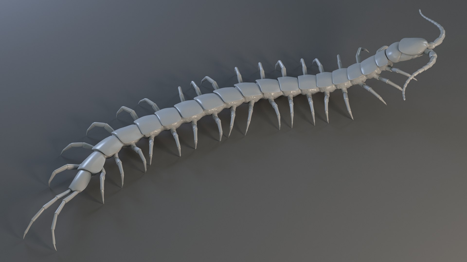 3D Scolopendra Rigged model https://p.turbosquid.com/ts-thumb/Dp/uB9iK8/RB/sclopendra_20/jpg/1737026794/1920x1080/fit_q87/9b99af7a9be94dea35b14c9a635f4184341a97cc/sclopendra_20.jpg