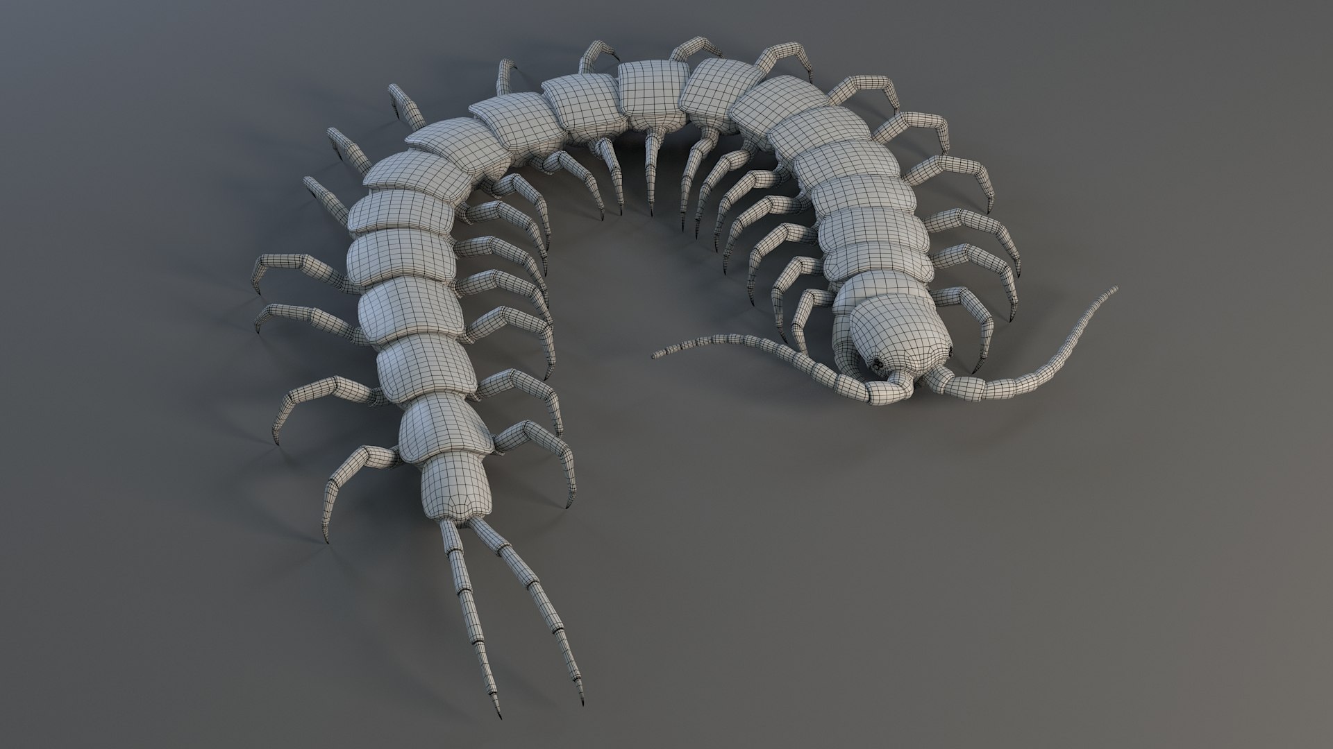 3D Scolopendra Rigged model https://p.turbosquid.com/ts-thumb/Dp/uB9iK8/Uu/sclopendra_25/jpg/1737026801/1920x1080/fit_q87/ad34a84eafd6dedd28d6b575dc51a5372e3925b8/sclopendra_25.jpg