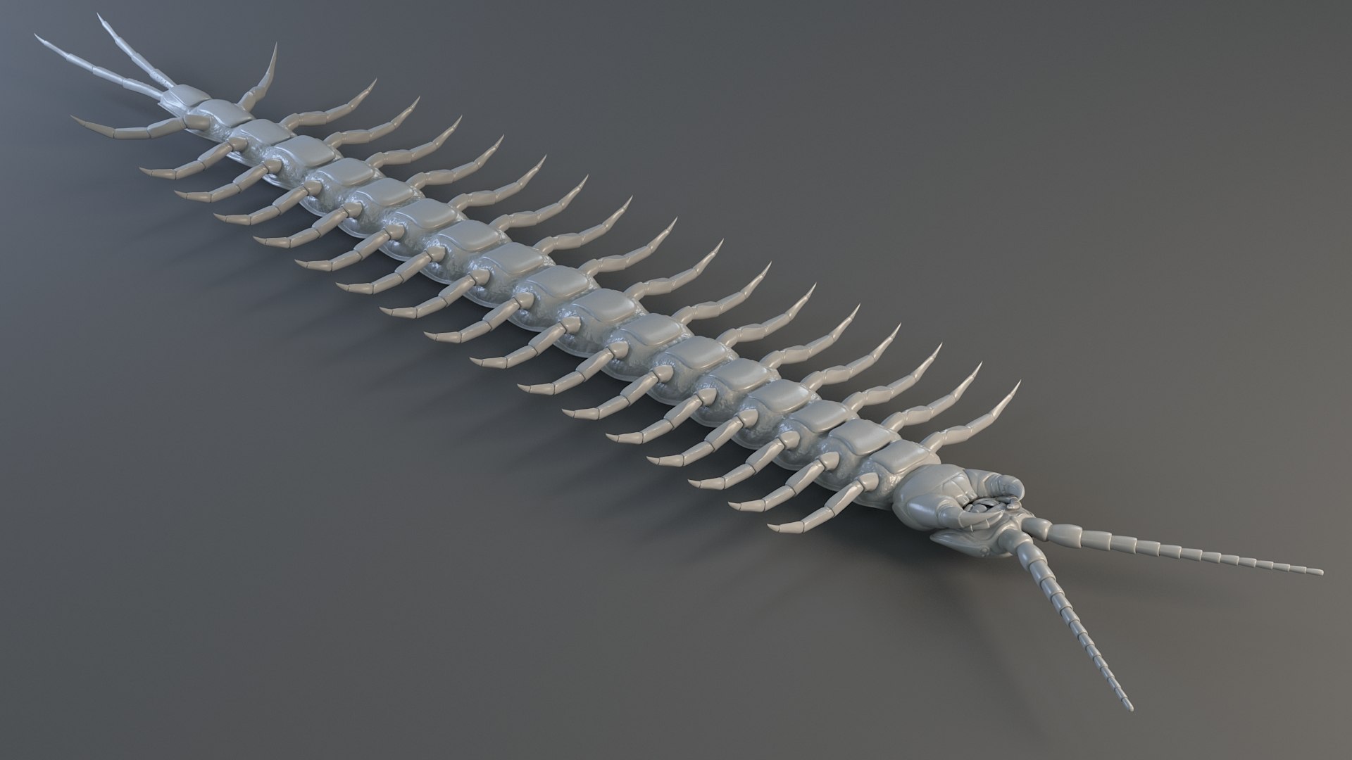 3D Scolopendra Rigged model https://p.turbosquid.com/ts-thumb/Dp/uB9iK8/eW/sclopendra_23/jpg/1737026798/1920x1080/fit_q87/dbd6cf9ced38c311fc46e3819927eedce14f926a/sclopendra_23.jpg