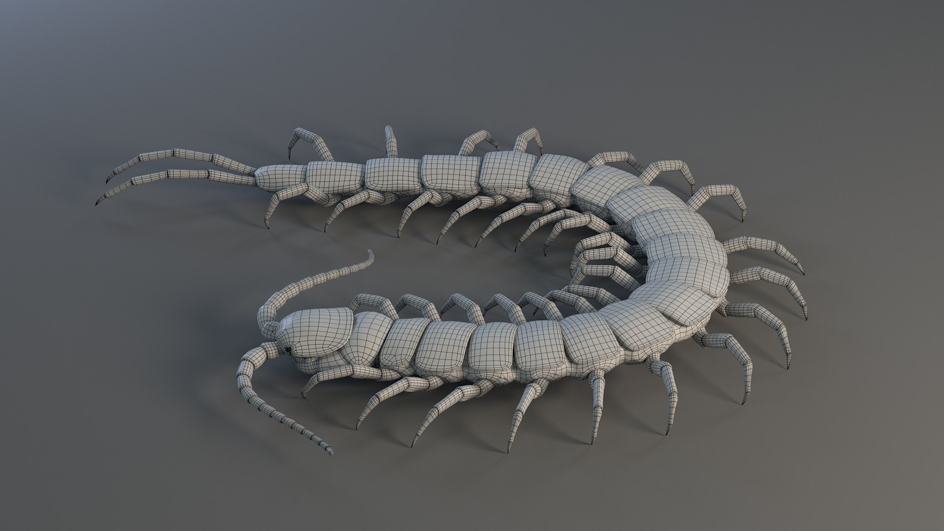 3D Scolopendra Rigged model https://p.turbosquid.com/ts-thumb/Dp/uB9iK8/ev/sclopendra_29/jpg/1737026807/1920x1080/fit_q87/ada311685b4caf06f5617c7ad23894ddb1435c08/sclopendra_29.jpg