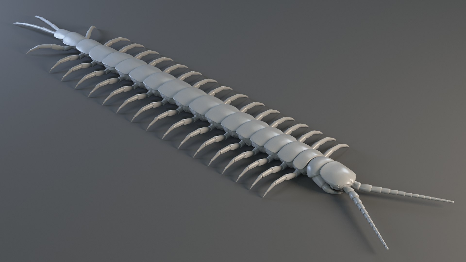 3D Scolopendra Rigged model https://p.turbosquid.com/ts-thumb/Dp/uB9iK8/fE/sclopendra_22/jpg/1737026797/1920x1080/fit_q87/e7ecf0f102fff3cd742f2aa9f58ffee8332b4817/sclopendra_22.jpg