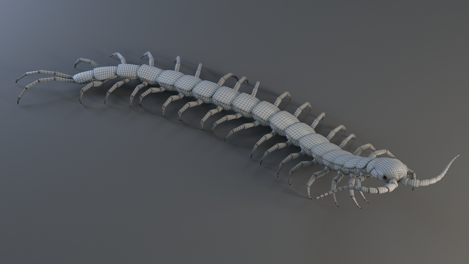 3D Scolopendra Rigged model https://p.turbosquid.com/ts-thumb/Dp/uB9iK8/ic/sclopendra_30/jpg/1737026809/1920x1080/fit_q87/7511312f9fb6e456b914fe636b5c32fb08f70e35/sclopendra_30.jpg