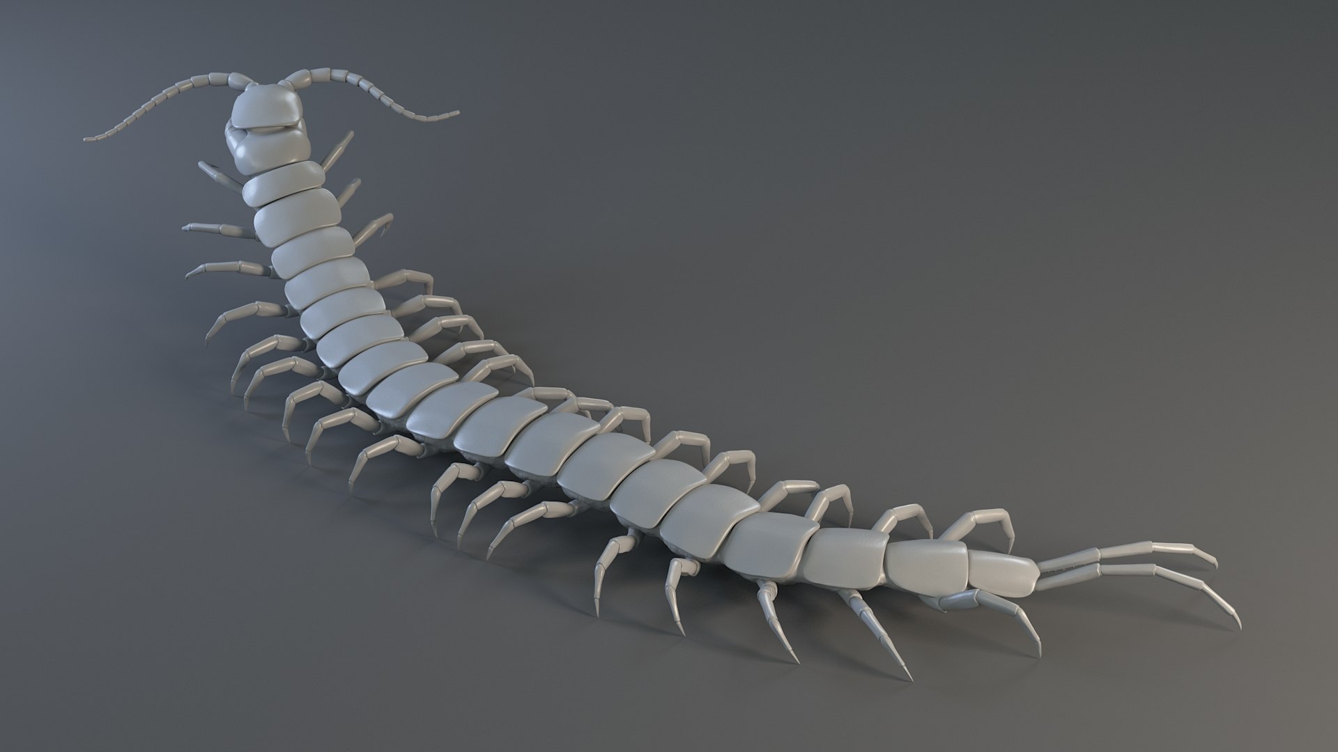 3D Scolopendra Rigged model https://p.turbosquid.com/ts-thumb/Dp/uB9iK8/jR/sclopendra_21/jpg/1737026796/1920x1080/fit_q87/883d67d3a33372567c506307373941d9e936742d/sclopendra_21.jpg