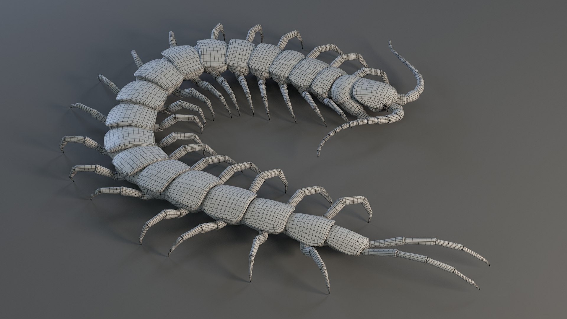 3D Scolopendra Rigged model https://p.turbosquid.com/ts-thumb/Dp/uB9iK8/k1/sclopendra_26/jpg/1737026803/1920x1080/fit_q87/782df6cebfa918b6525c2f2e4919fd67a81f49c2/sclopendra_26.jpg