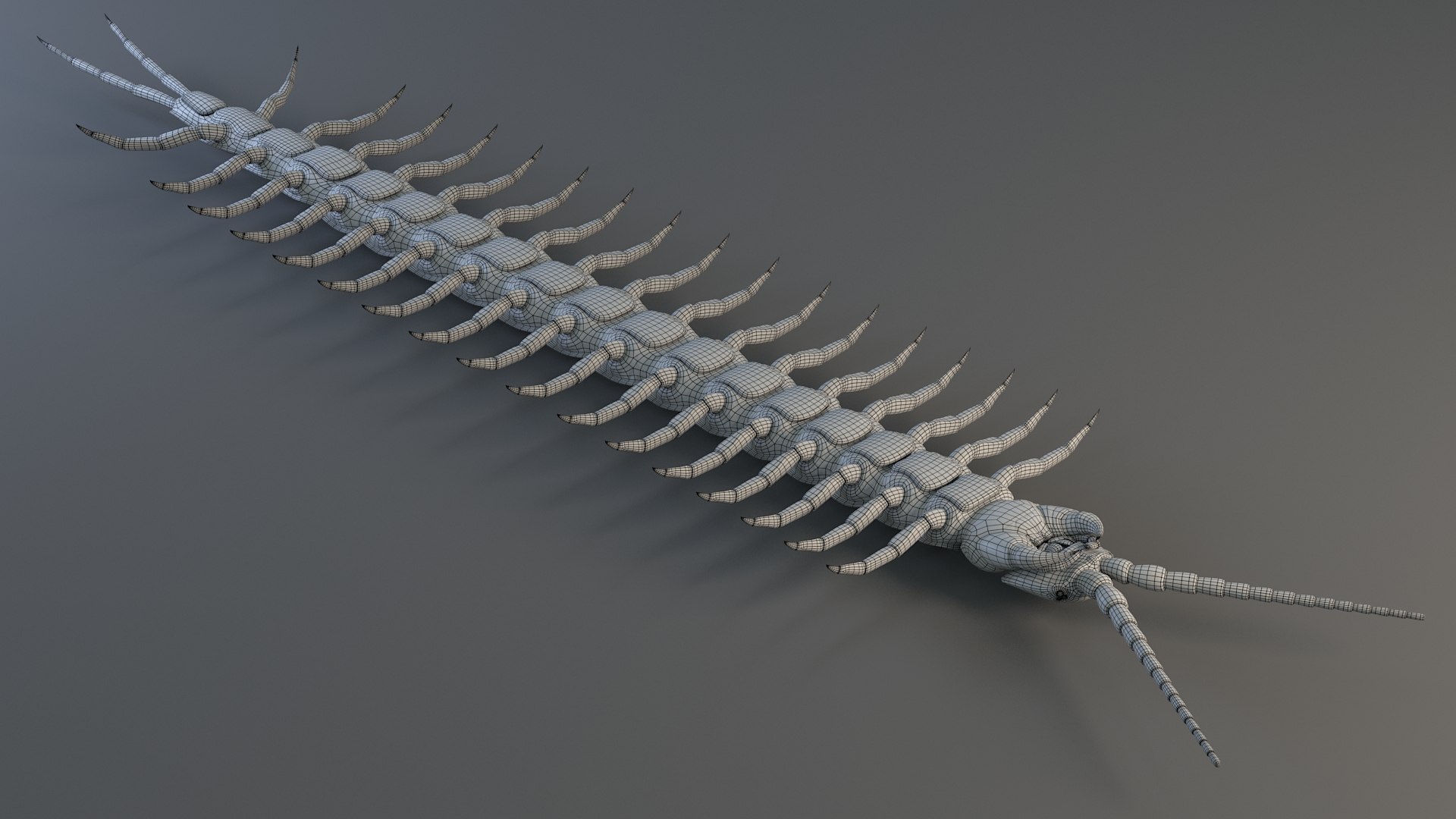 3D Scolopendra Rigged model https://p.turbosquid.com/ts-thumb/Dp/uB9iK8/lx/sclopendra_34/jpg/1737026814/1920x1080/fit_q87/1c769387cbf3a87e045ee9a55ece0c37a53be574/sclopendra_34.jpg