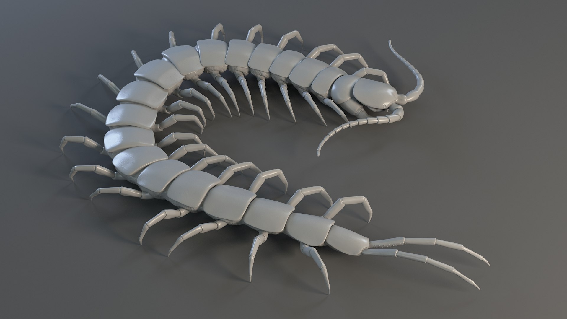 3D Scolopendra Rigged model https://p.turbosquid.com/ts-thumb/Dp/uB9iK8/od/sclopendra_15/jpg/1737026789/1920x1080/fit_q87/52509bf6fd783c7df8f7a3f1cb8f3c50778c8d5c/sclopendra_15.jpg