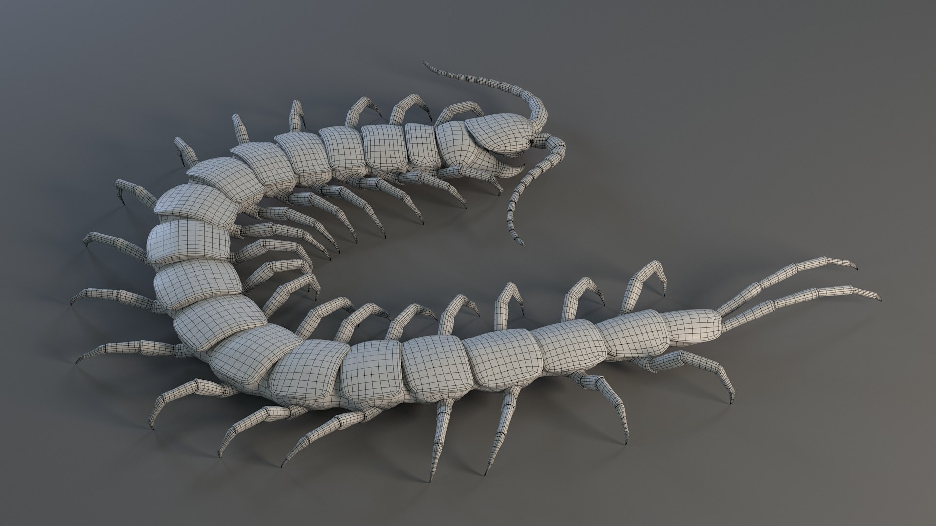 3D Scolopendra Rigged model https://p.turbosquid.com/ts-thumb/Dp/uB9iK8/xG/sclopendra_27/jpg/1737026805/1920x1080/fit_q87/bbef3b1fe02bd9e36d2fe4a0be8fd3595a3f77c6/sclopendra_27.jpg