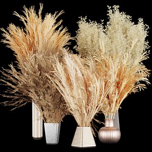 Collection plant vol 265 - Bouquet -dried - flowers