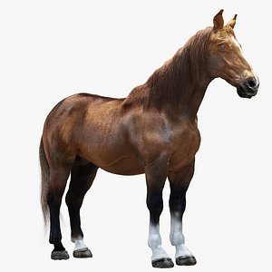 3d model horse realistic modeled