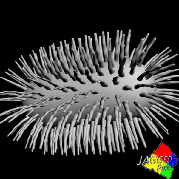 bacillus bacteria 6 3d model