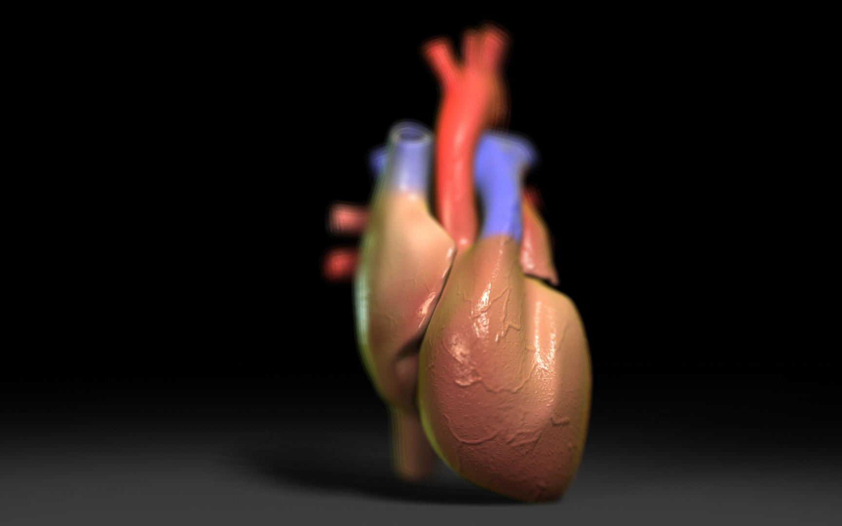 Heart Scanline Model - TurboSquid 1997232