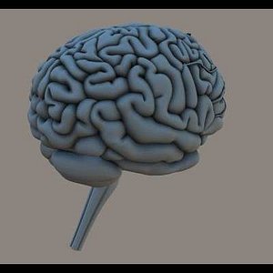 BRAINbis Poser