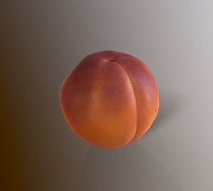peach fruit food model