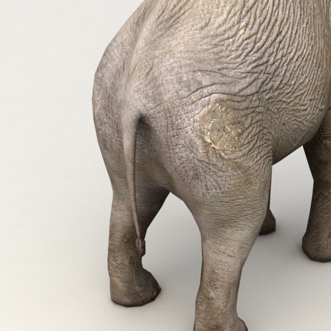 rigged elephant 3d 3ds https://p.turbosquid.com/ts-thumb/Dq/B5D7SQ/94mbb7Re/v7/png/1390468067/1920x1080/fit_q87/2625d11c5352a4595118377fcb191d9d5edeaa28/v7.jpg