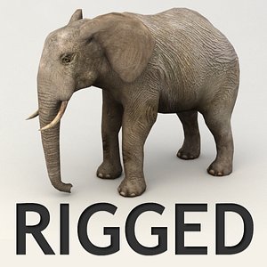 Lowpoly rigged elephant