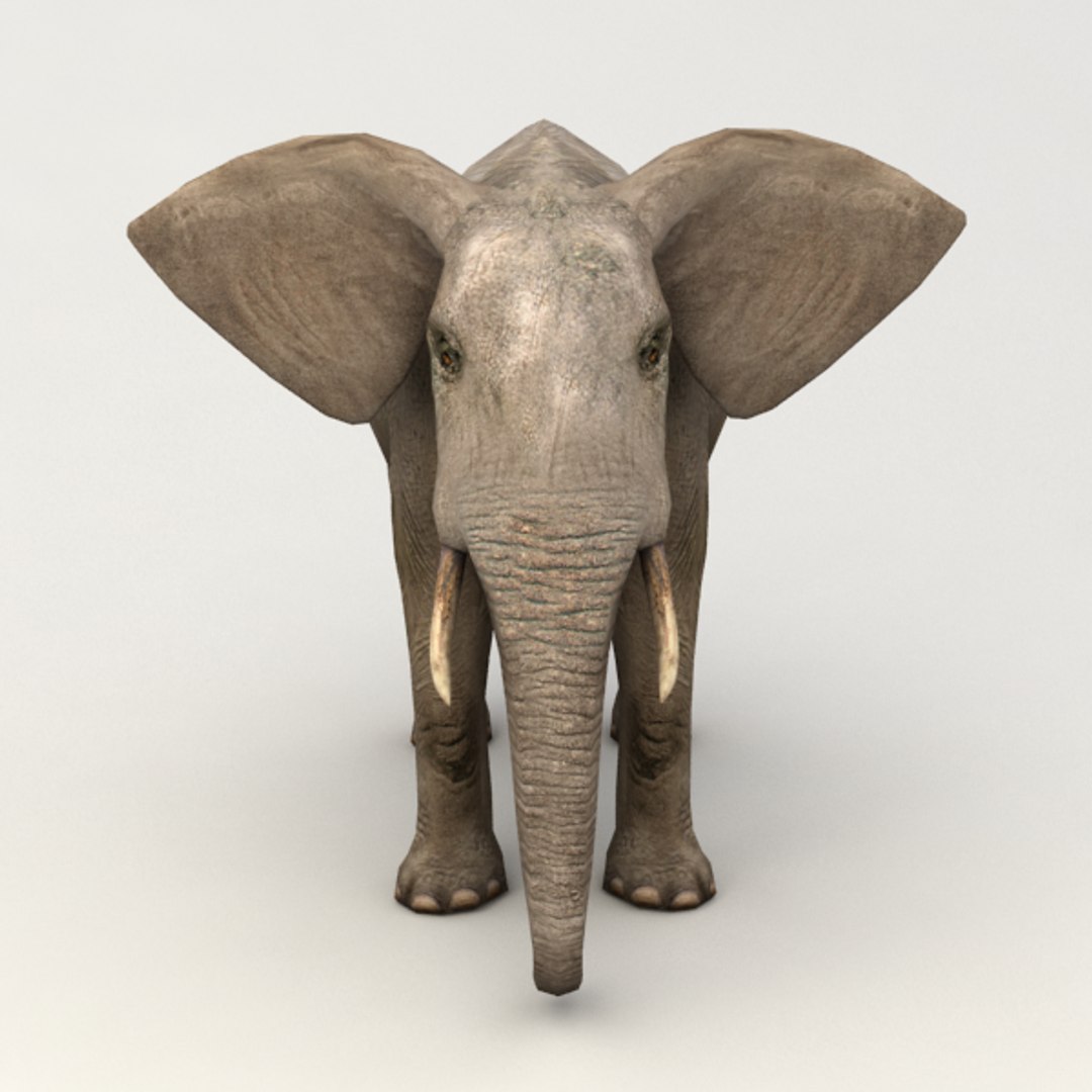 rigged elephant 3d 3ds https://p.turbosquid.com/ts-thumb/Dq/B5D7SQ/xRWXls4a/v4/png/1390468067/1920x1080/fit_q87/0d2c2a935055dd1518140048c4116b07730f5e71/v4.jpg