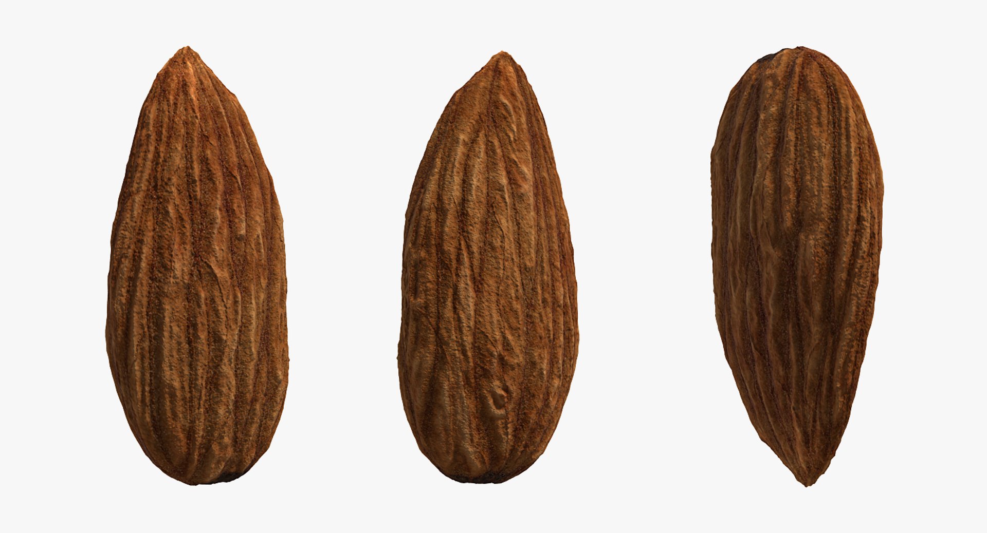 3D almond nut fruit https://p.turbosquid.com/ts-thumb/Dq/DSBXVe/58KIucG8/almondvray3dmodel007/jpg/1563110006/1920x1080/fit_q87/4be792e285d3be9d474e006be6854c3aaf144df2/almondvray3dmodel007.jpg