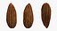 Almond