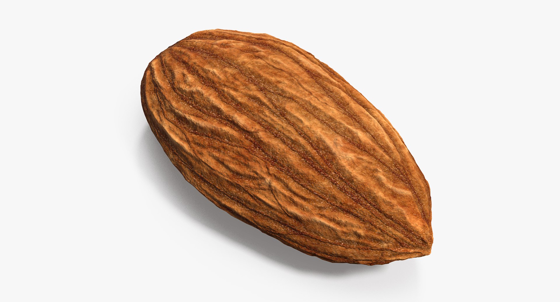 Almond 3D model preview