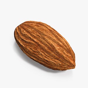 3D almond nut fruit