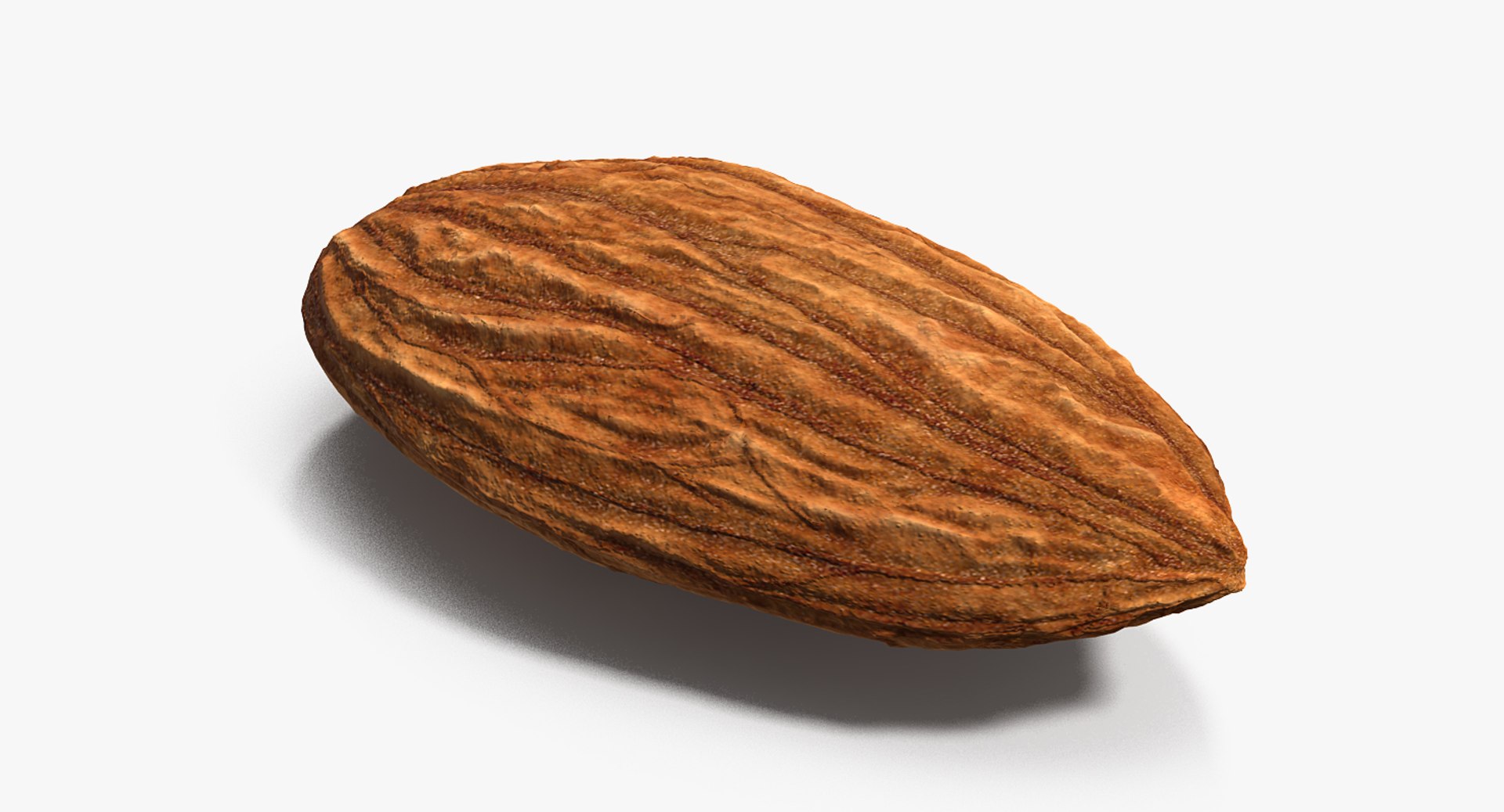 3D almond nut fruit https://p.turbosquid.com/ts-thumb/Dq/DSBXVe/NURNxUlz/almondvray3dmodel004/jpg/1563109996/1920x1080/fit_q87/6a273d4578a3bdd3b77e66a3caa6e63724fff103/almondvray3dmodel004.jpg