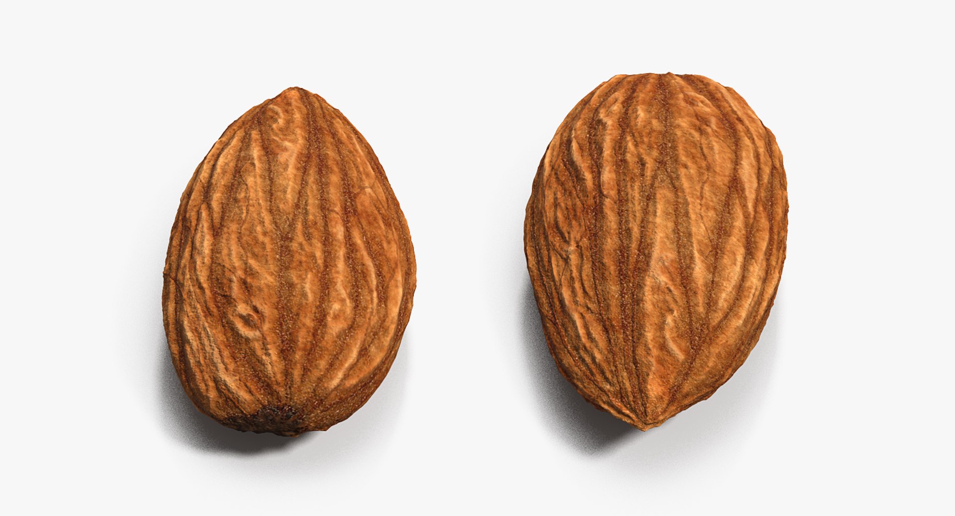 3D almond nut fruit https://p.turbosquid.com/ts-thumb/Dq/DSBXVe/R6k0wgxO/almondvray3dmodel005/jpg/1563109999/1920x1080/fit_q87/b51808578596a85409fb8510310acb67ff172e33/almondvray3dmodel005.jpg