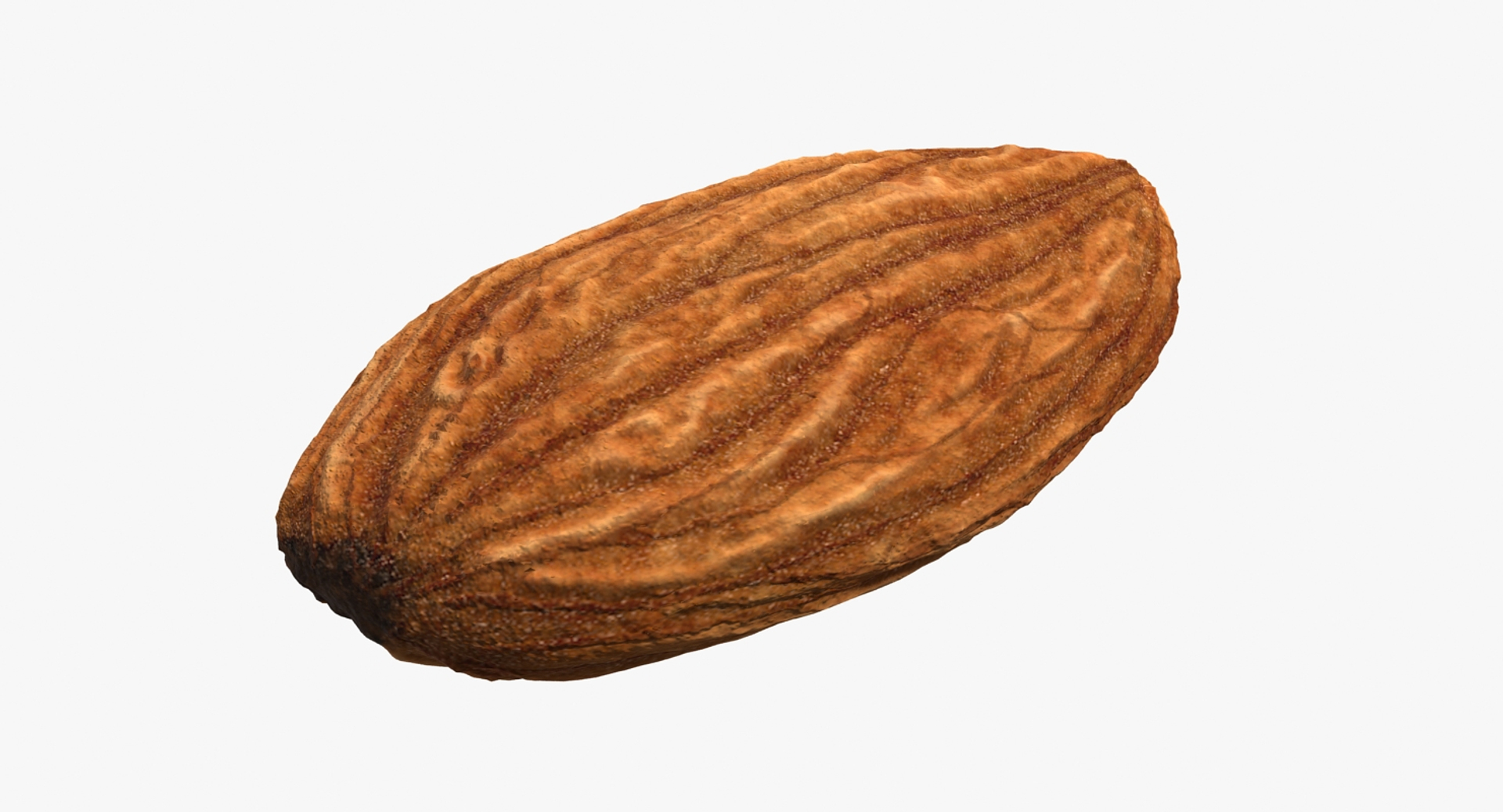 3D almond nut fruit https://p.turbosquid.com/ts-thumb/Dq/DSBXVe/ainYpLjQ/almond_360/jpg/1563109558/1920x1080/turn_fit_q99/c8141cbb0999314e077431e441cda8bc9f3815e6/almond_360-1.jpg