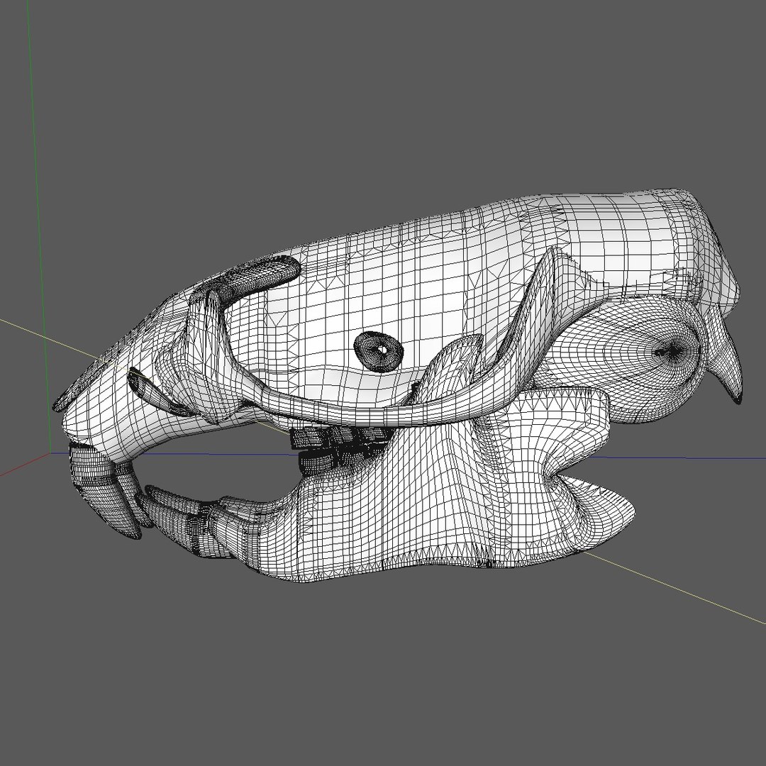 Rat Skull Animations 3d Model