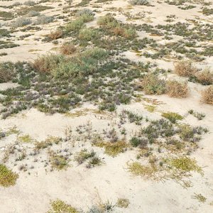 3D Desert biome